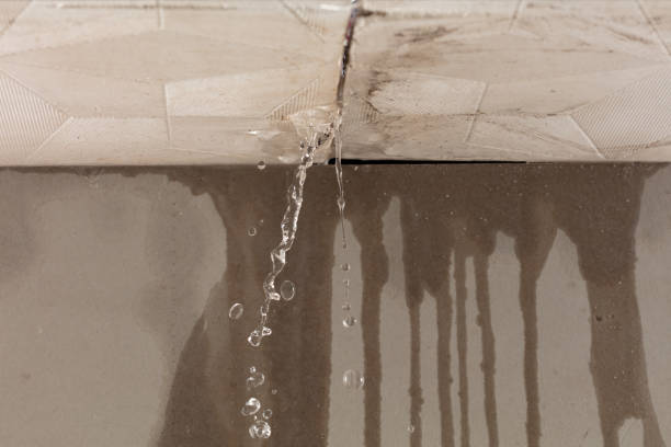 Professional Burst Pipe Cleanup technician working in Stonington, ME
